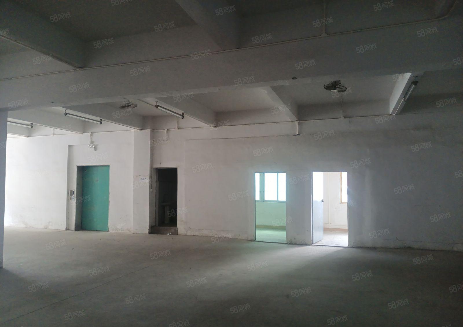 望牛墩东莞西站旁13元超低价厂房