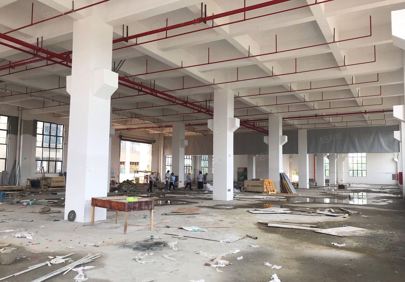 可分租单层,望牛墩原房东全新独院标准厂房21841平方出租