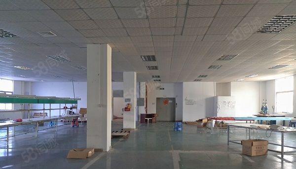 望牛墩新出独院厂房三层4500平方带精装修出租