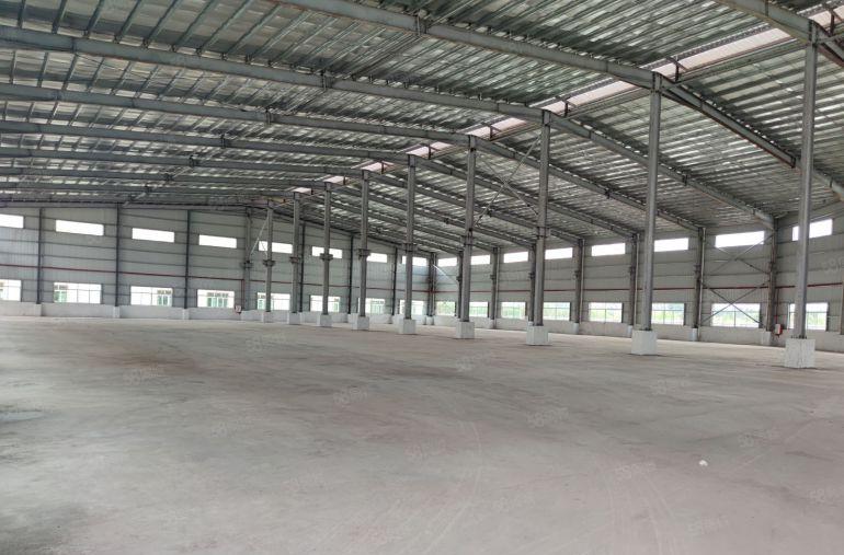 望牛墩107道边原房东全新单一层厂房出租5000平米滴水8米