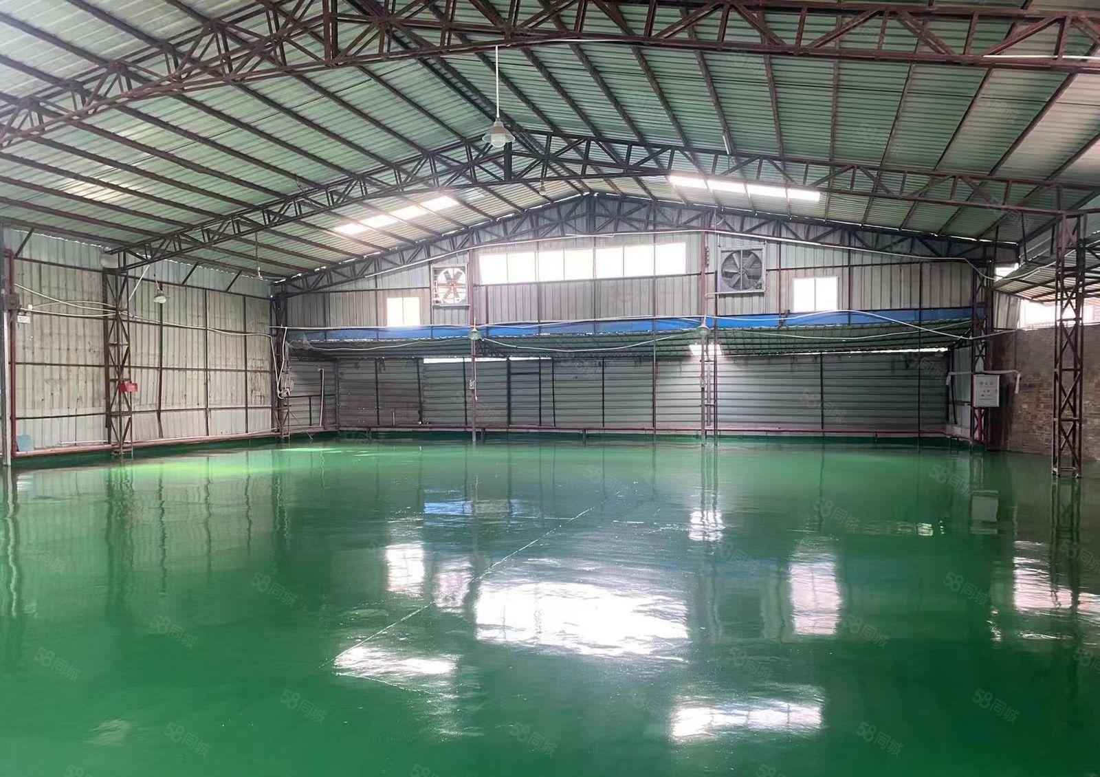 望牛墩新出独院单一层厂房出租2150平，带全新地坪漆