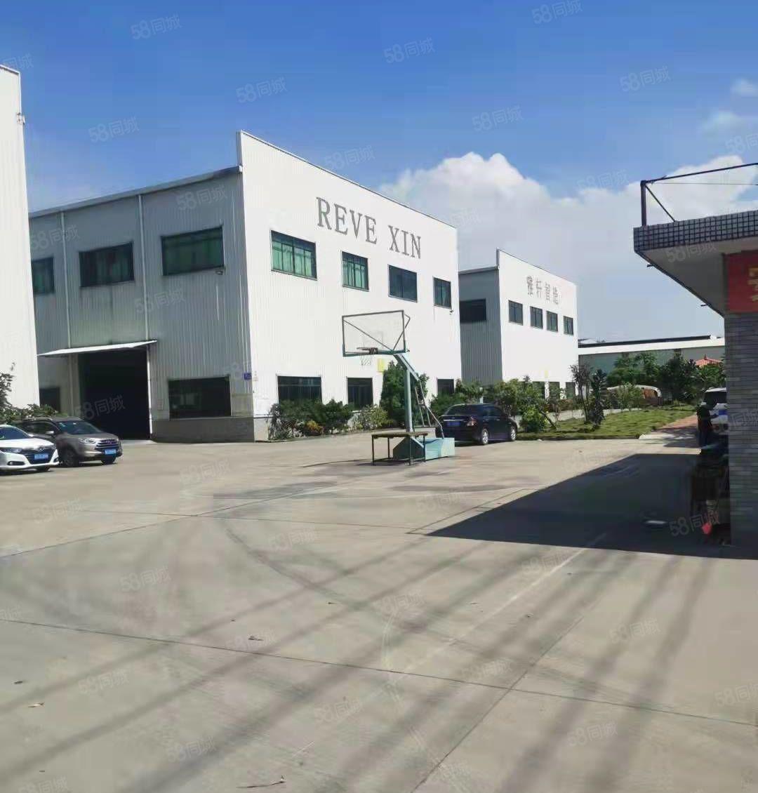 望牛墩单一层厂房证件齐全