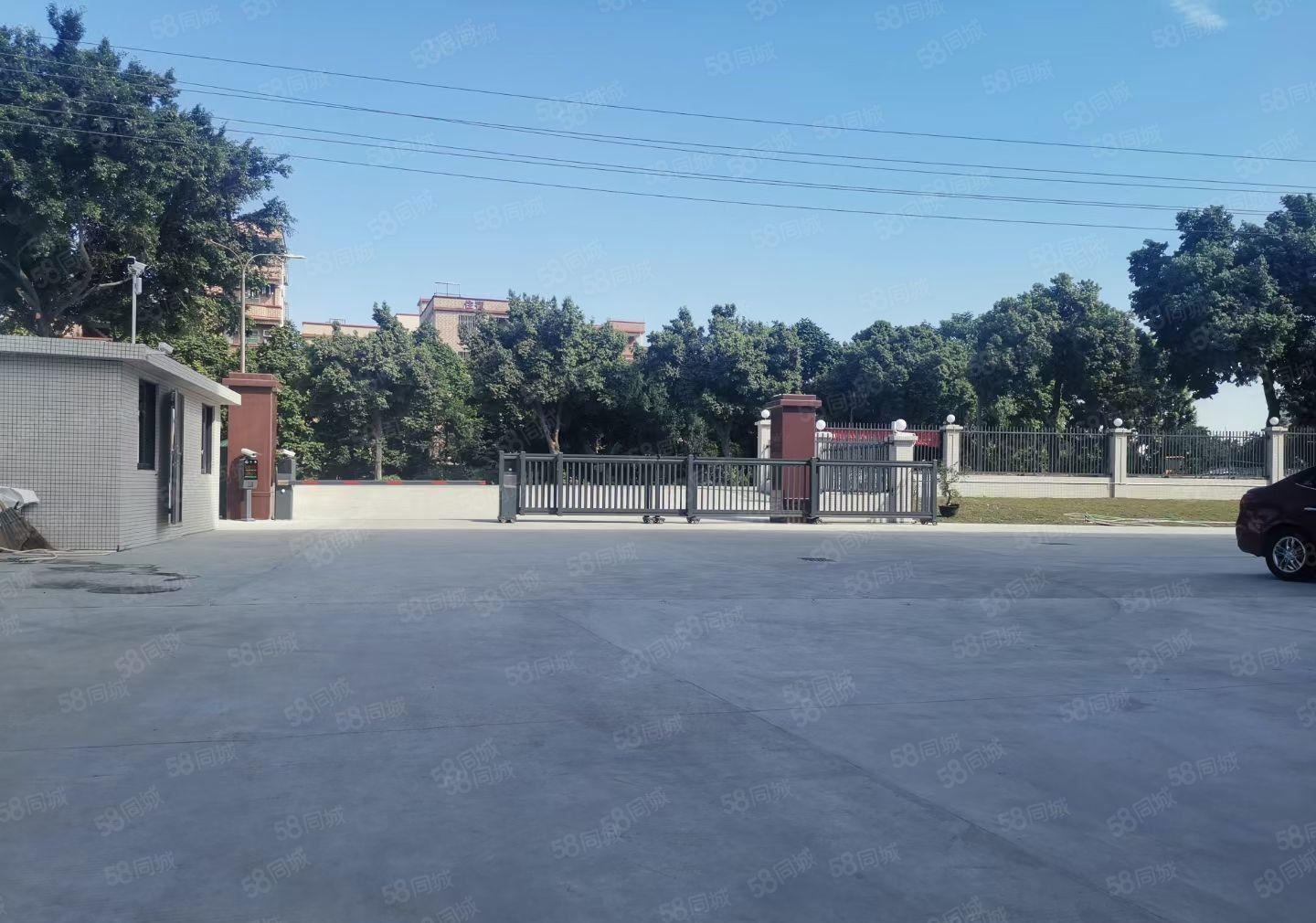 可分租单层或半层，望牛墩全新独院标准厂房出租4960平