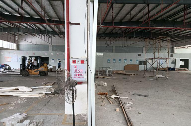 望牛墩 3800平 园区高台仓库  空地大 低价出租