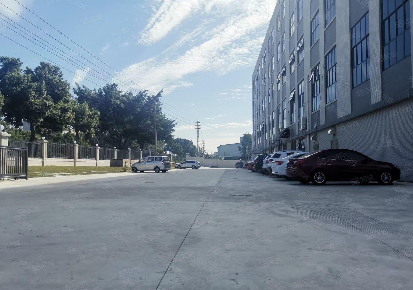 可分租单层或半层，望牛墩全新独院标准厂房出租4960平