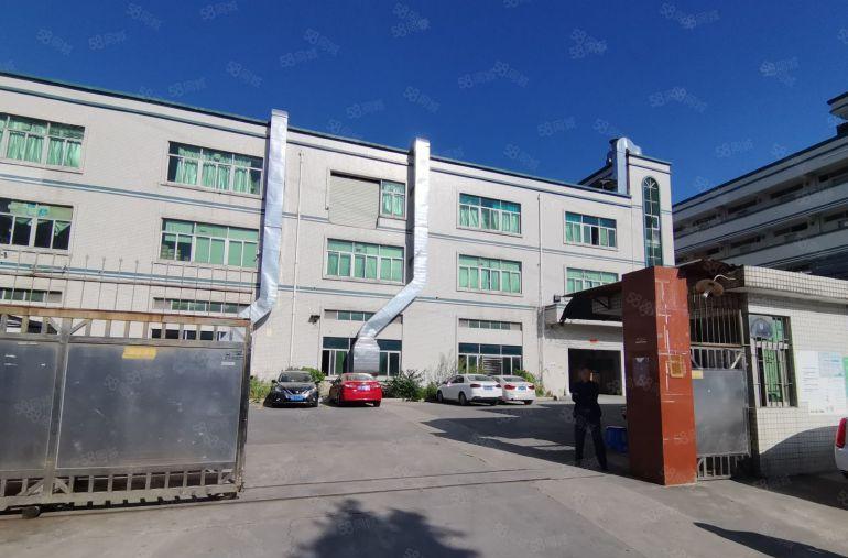 新资源望牛墩一楼1500平带办公室带地坪漆