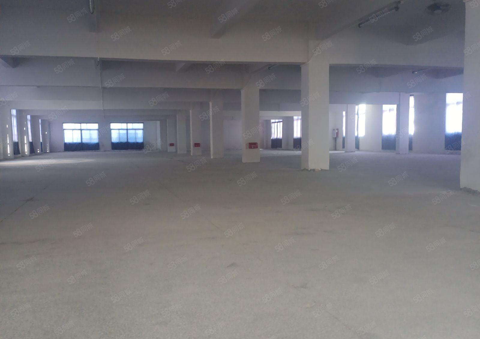 水乡大道旁成熟工业区村委厂房出租