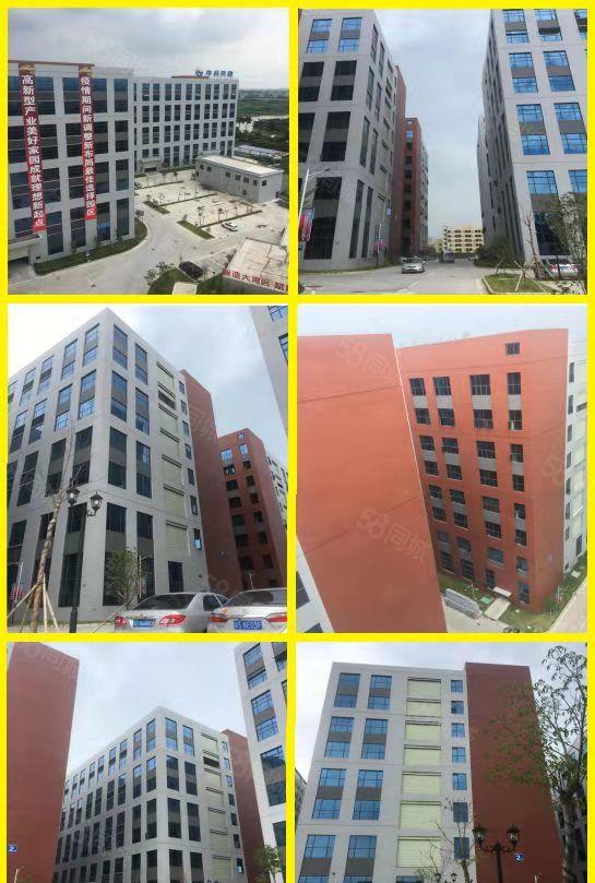 望牛墩红本高新产业园