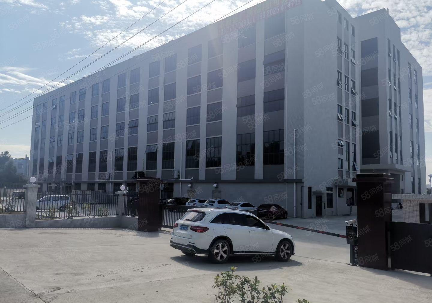 可分租单层或半层，望牛墩全新独院标准厂房出租4960平