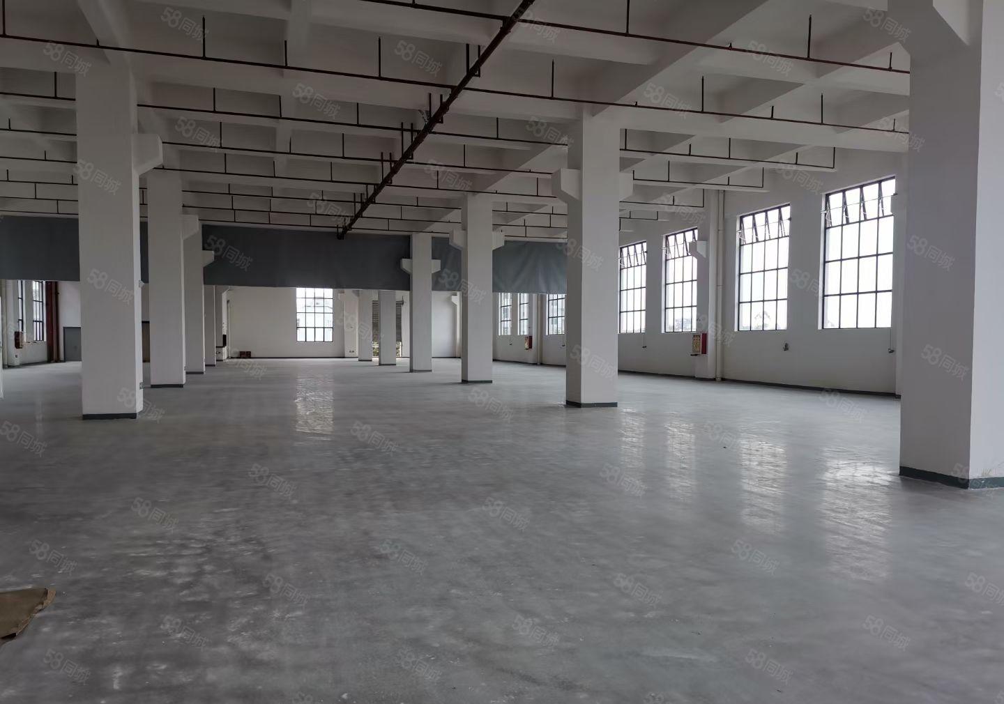 望牛墩20000平方高新产业园出租