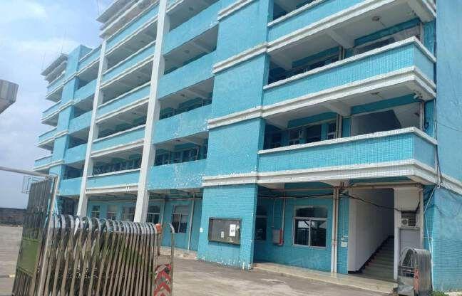 望牛墩出租标准楼层厂房10000平方 有电梯 电（可增）