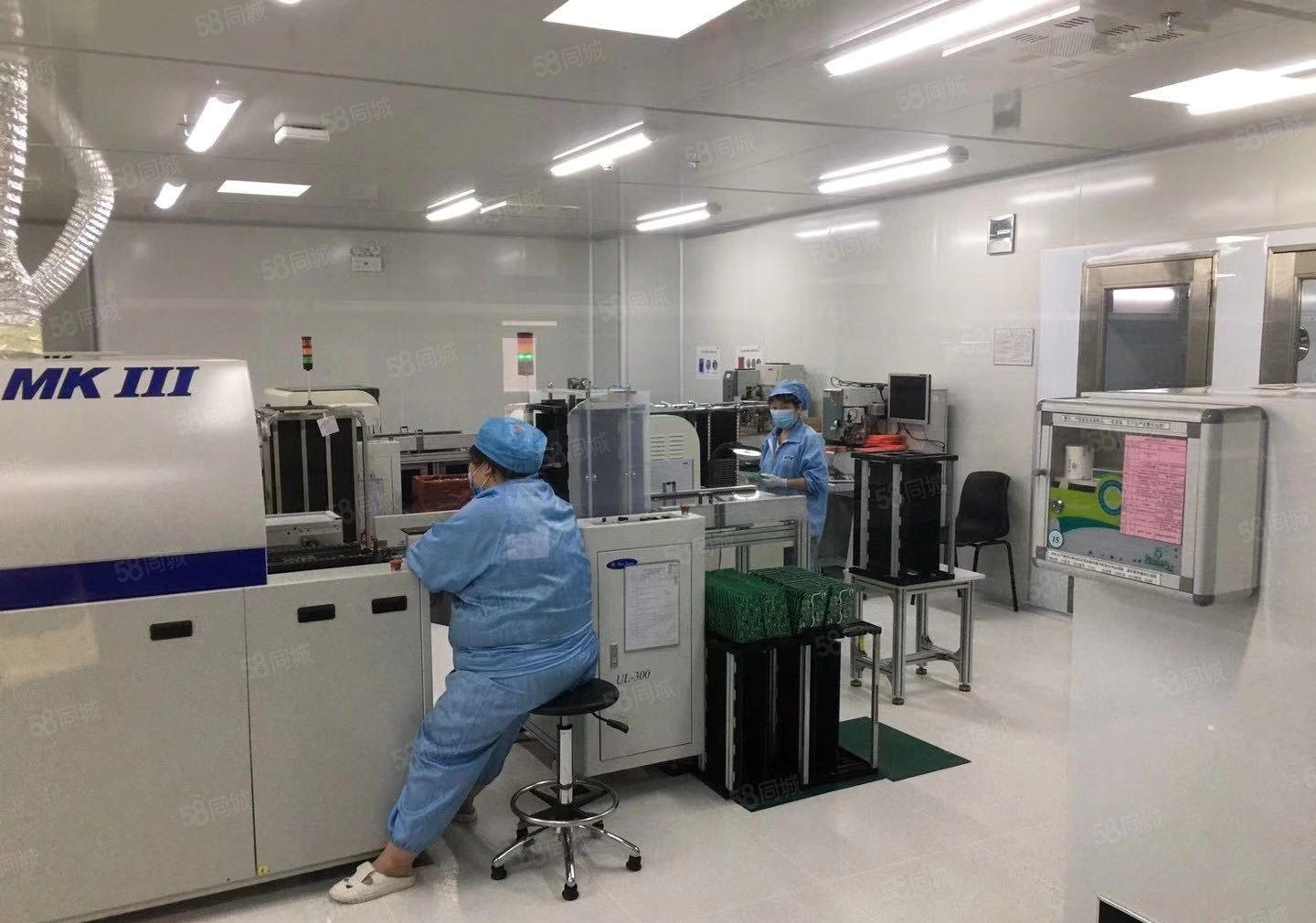 无尘车间出租！！花园式厂房宿舍饭堂休闲娱乐