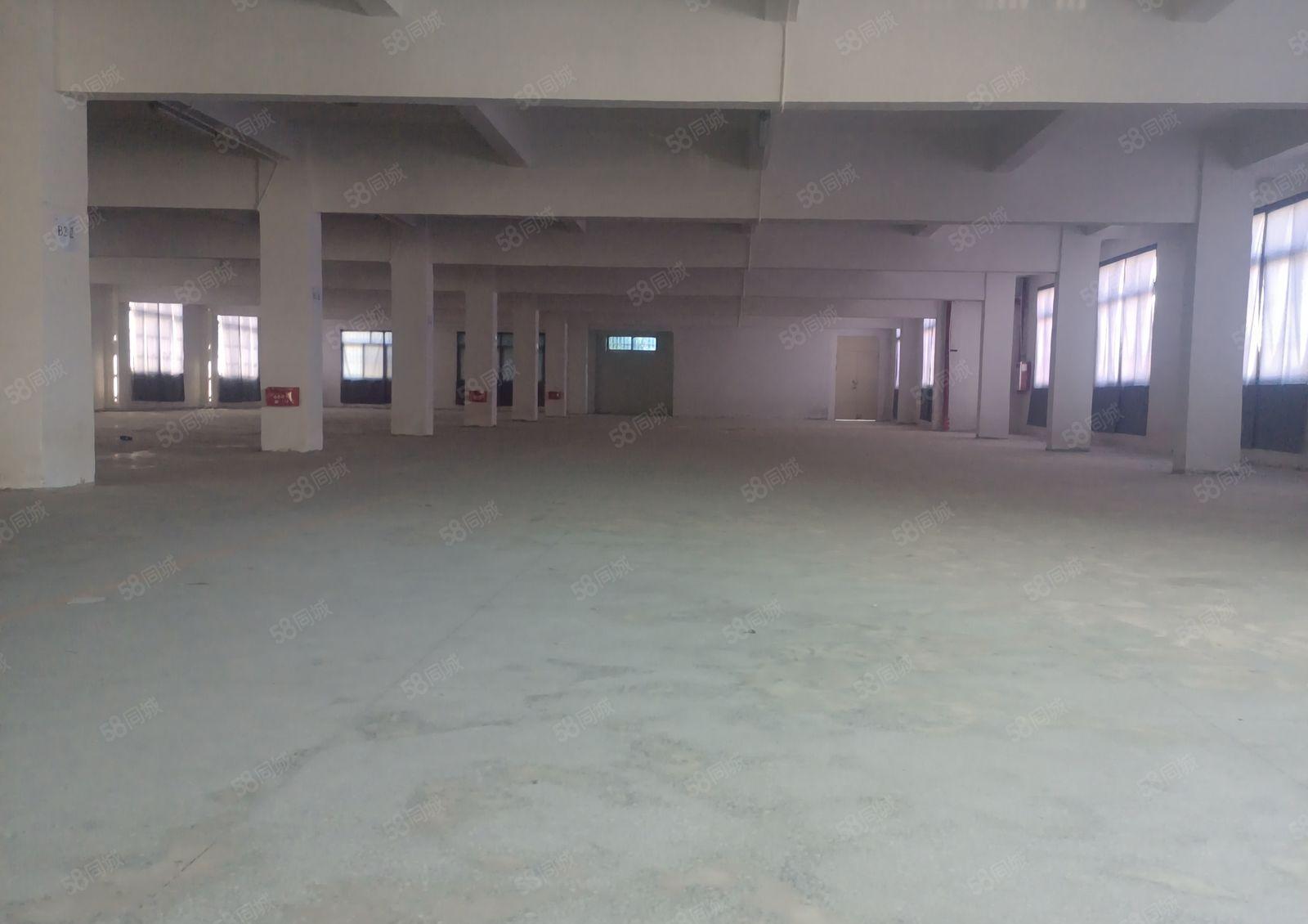 望牛墩下漕工业区原房东厂房出租