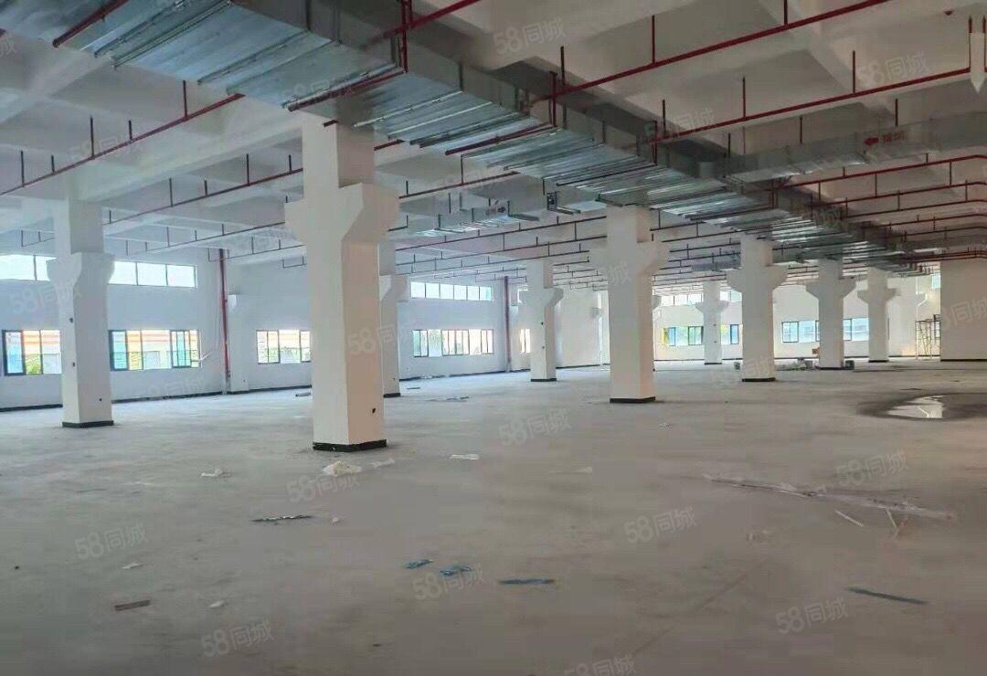 可分租单层或半层，望牛墩全新独院标准厂房出租4960平