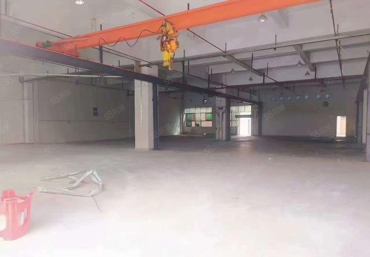 厂房出租， 望牛墩原房东独栋厂房，超大空地，面积3300