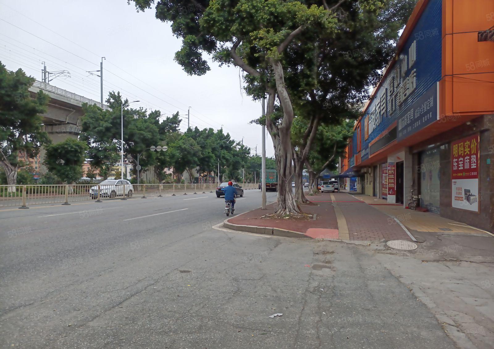 望牛墩水乡新城望洪路村委厂房招租