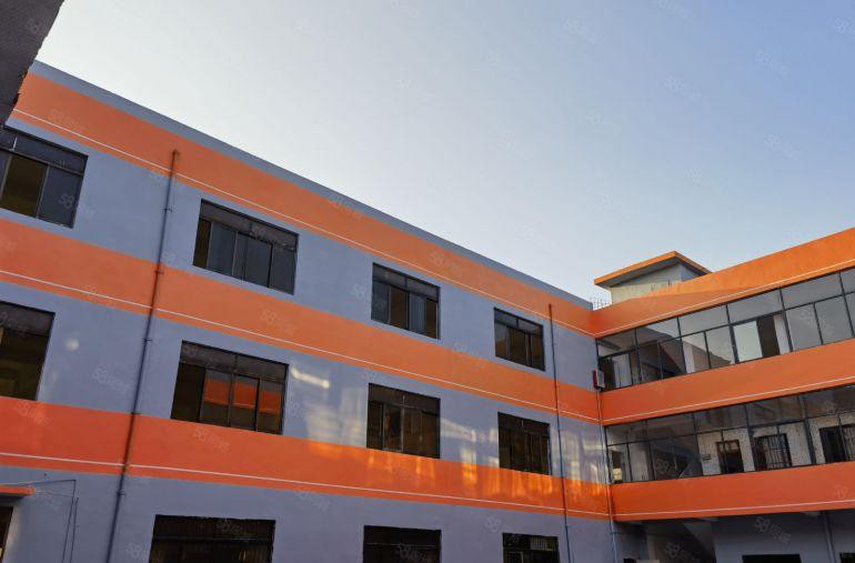 望牛墩镇成熟工业区独门独院13层5100方低价招租