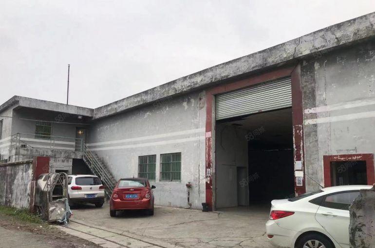 望牛墩原房东单一层独院厂房出租1800平，低价出租仅13元