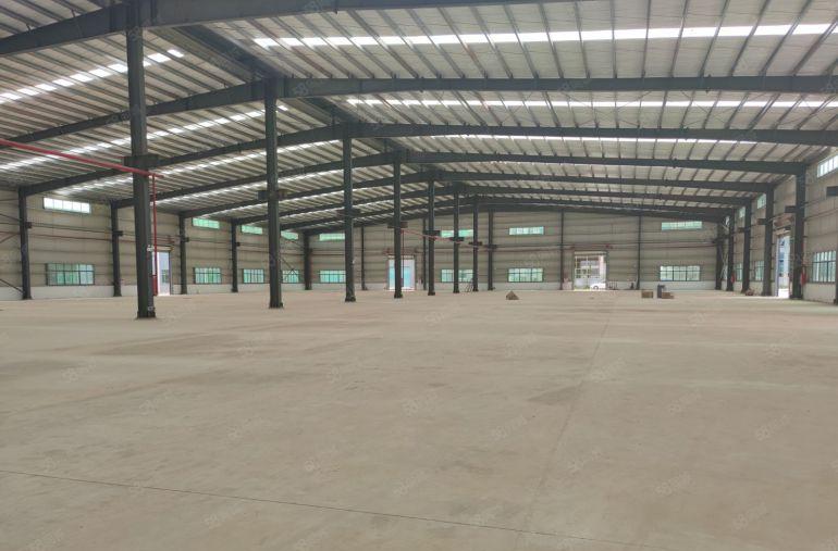 望牛墩107道边原房东全新单一层厂房出租5000平米滴水8米