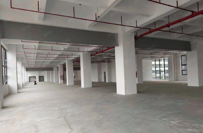 9.9元洪梅全新丙类消防，一楼层高7.5米交通便利