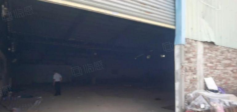 独门独院厂房1000平方，低价出租，大马路边上，可以收废品。