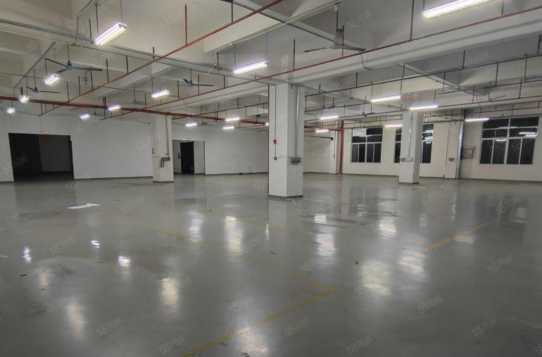 超大空地独院，原房东实际单一层厂房，形象好，格局方正交通便利