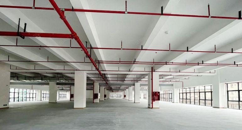 水乡片区原房东厂房 手持红本 智造厂房