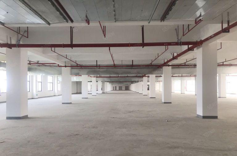 洪梅镇全新双证标准低价厂房仓库出租，二类工业用地，手续齐全