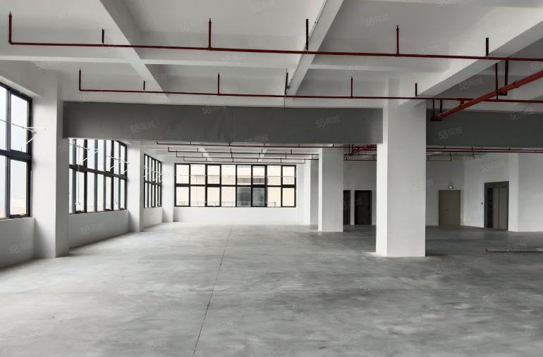 广深沿江高速路口旁的独园区  国有红本厂房 带地下停车场