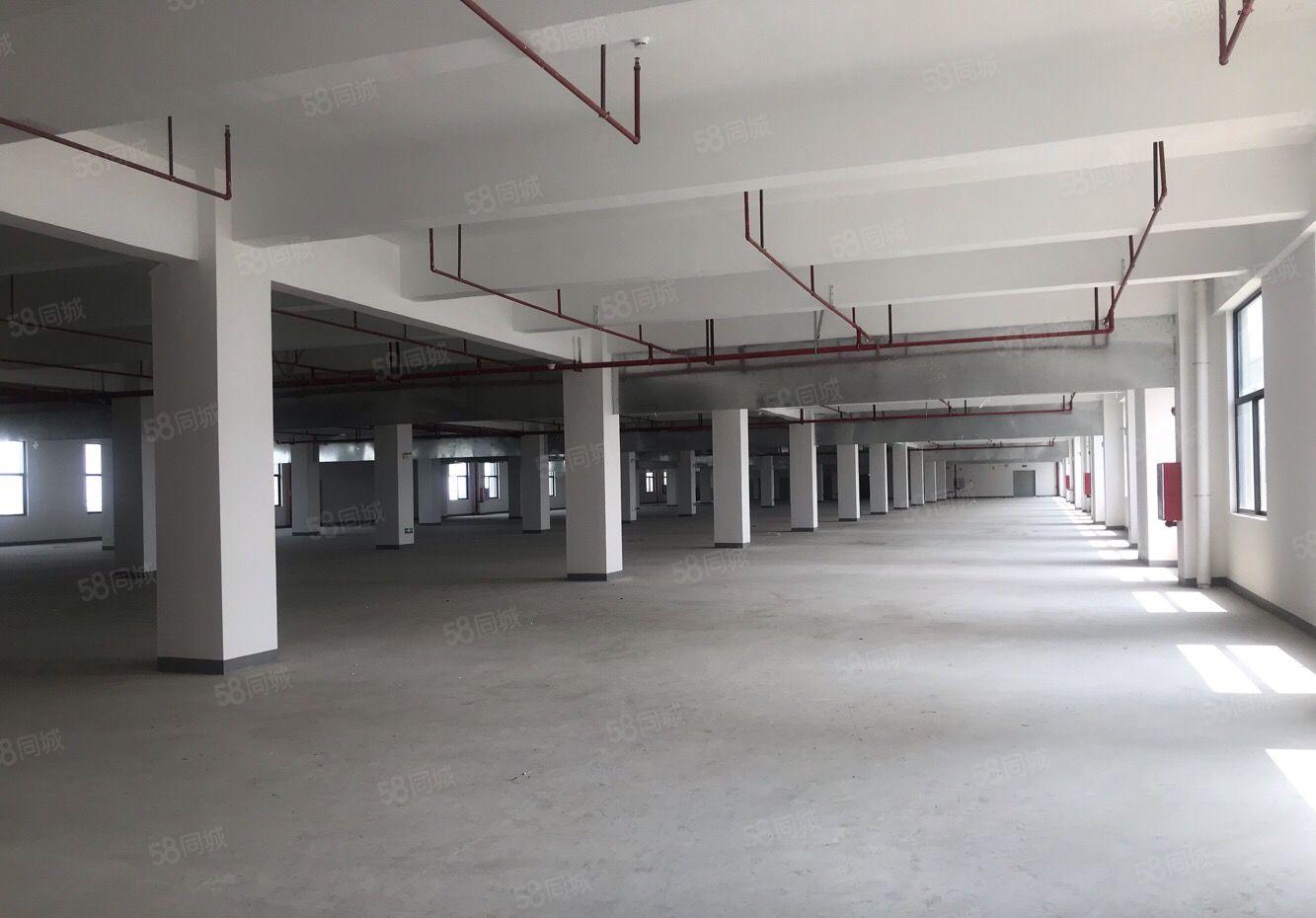 1000平起分租,洪梅镇全新双证标准厂房9万平方出租