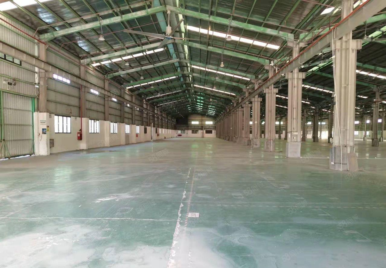 独院 新出12米高钢构12300平米可分租 空地8000