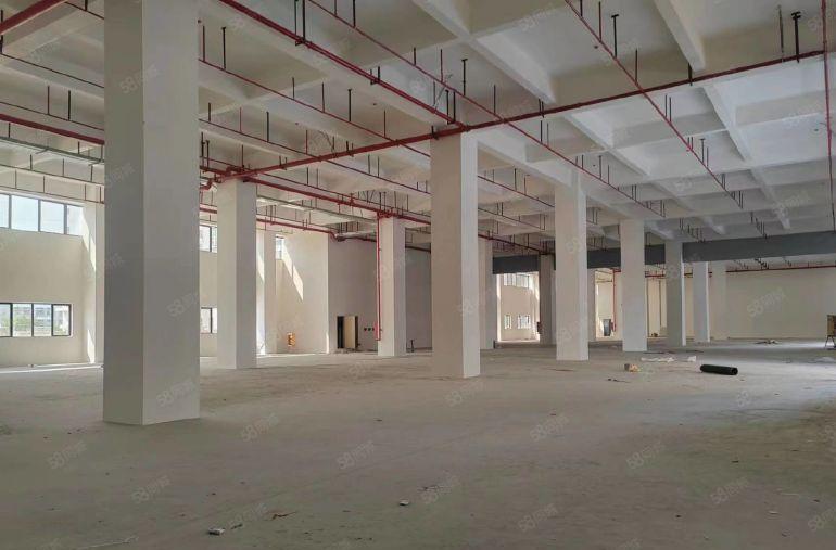 洪梅原房东15元全新厂房