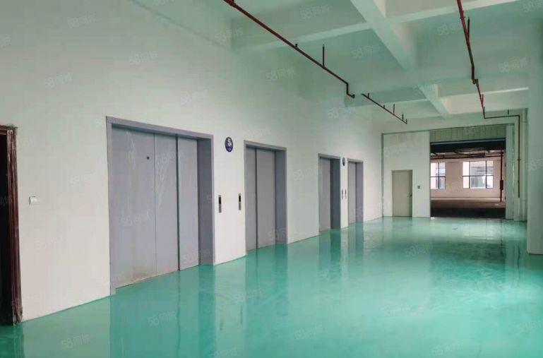 洪梅镇全新双证标准低价厂房仓库出租，二类工业用地，手续齐全