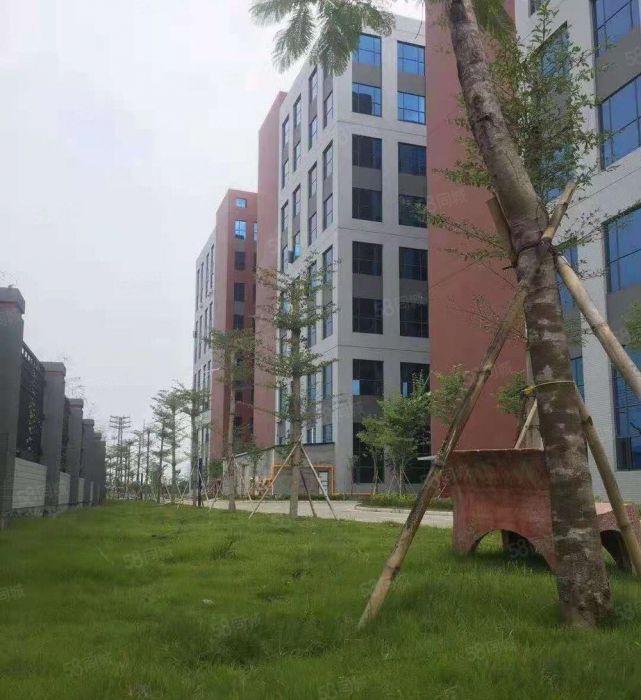 洪梅镇全新双证标准低价厂房仓库出租，二类工业用地，手续齐全