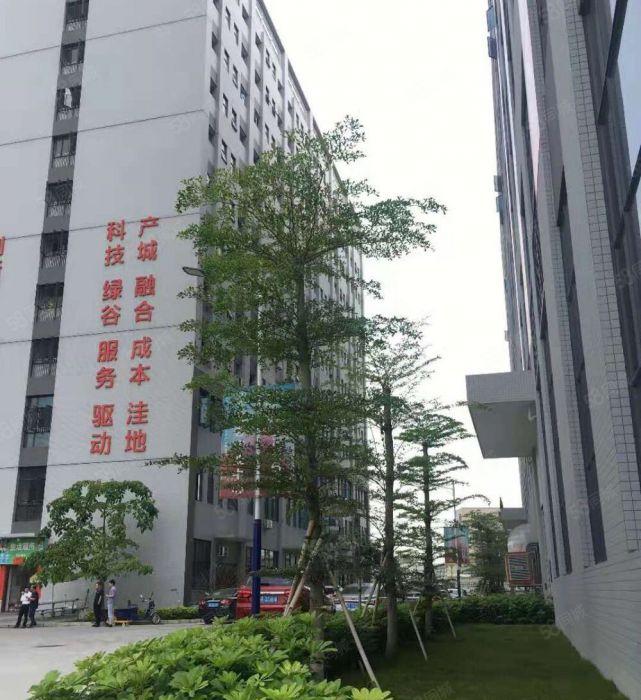 洪梅镇全新双证标准低价厂房仓库出租，二类工业用地，手续齐全