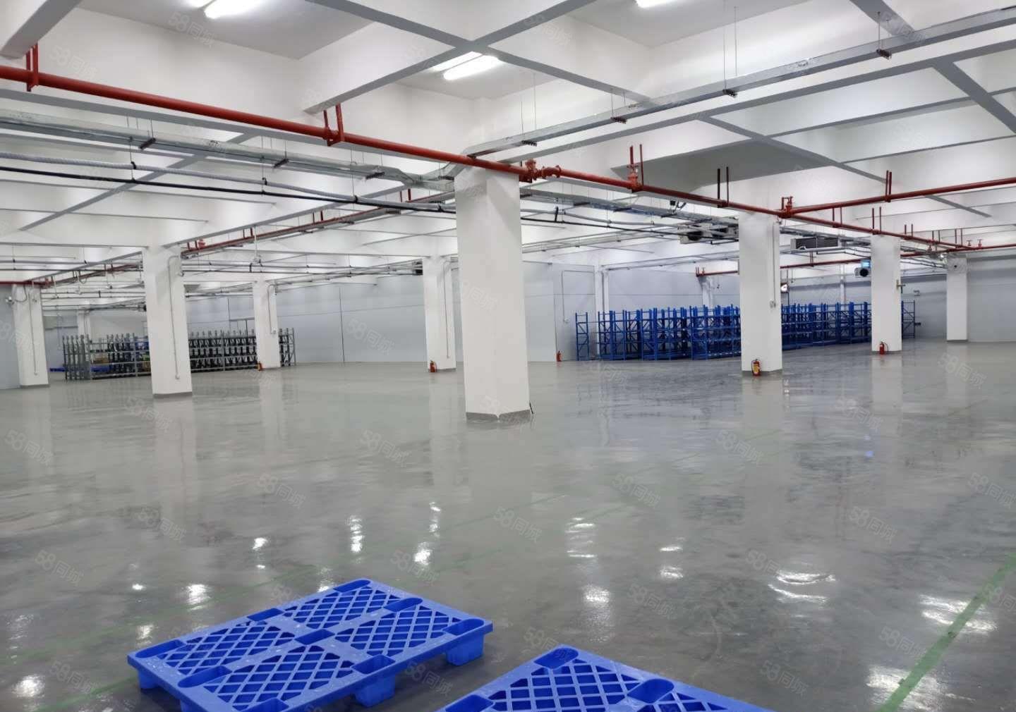 谢岗厂房出租，大小可分，还有仓库出租，原房东低价出租