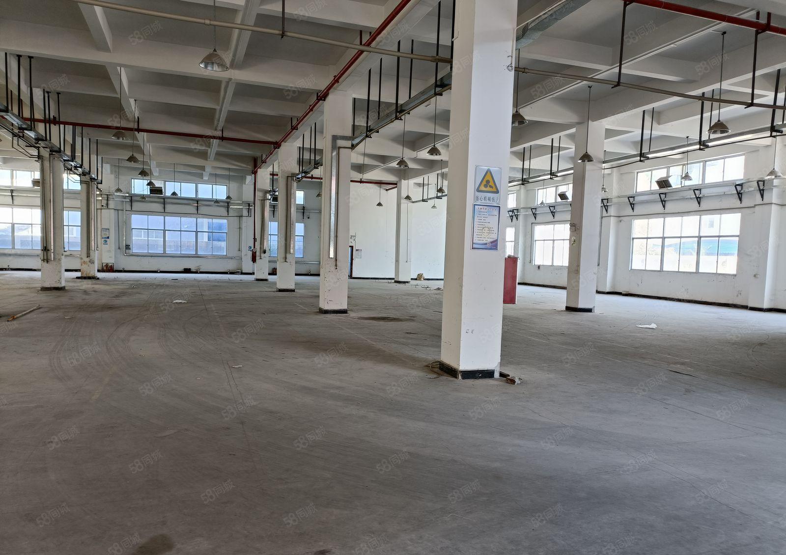 谢岗镇原房东厂房出租1300平方实际面积水电齐全低价急租