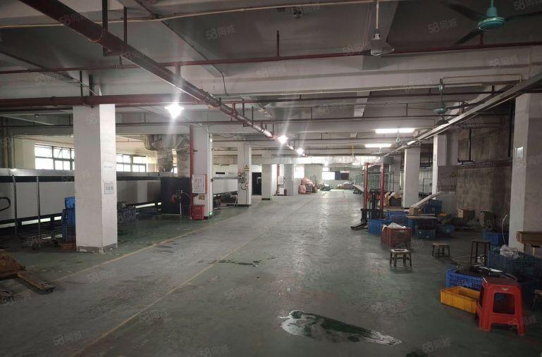 谢岗新出标准厂房带喷油喷粉环评设备一起