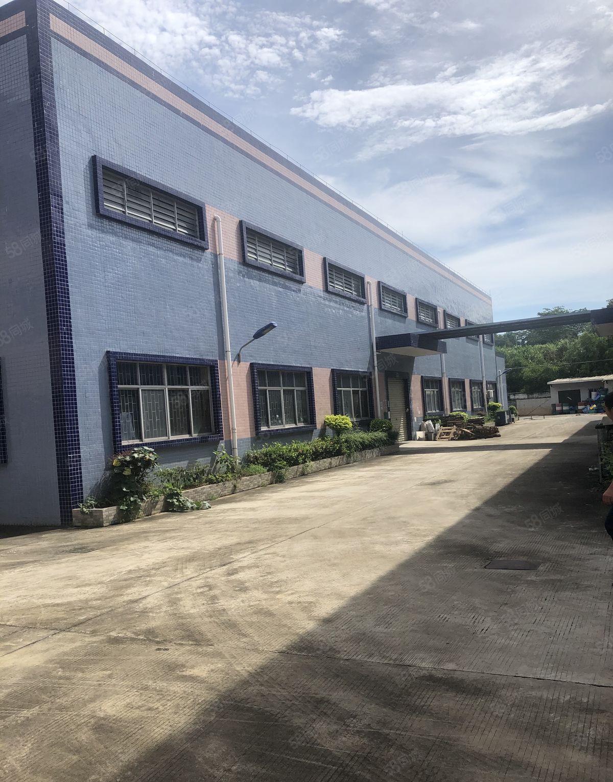 谢岗厂房出租1500平方独门独院厂房出租原房东出租