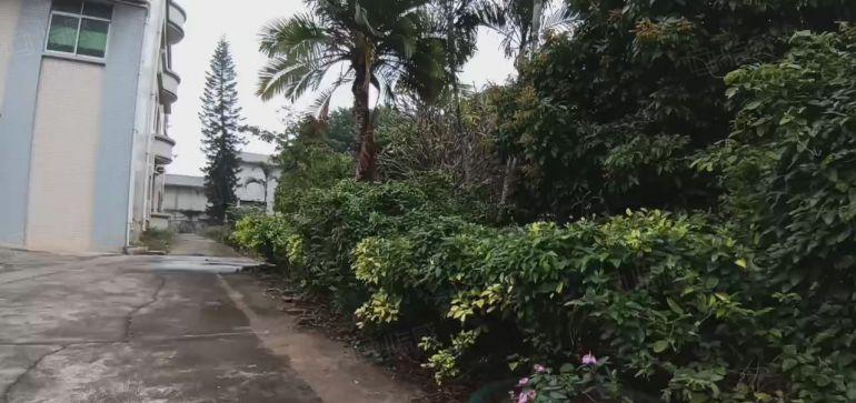 惊呆了，不仅零公摊，还低于市场价租，谢岗镇独院厂房出租