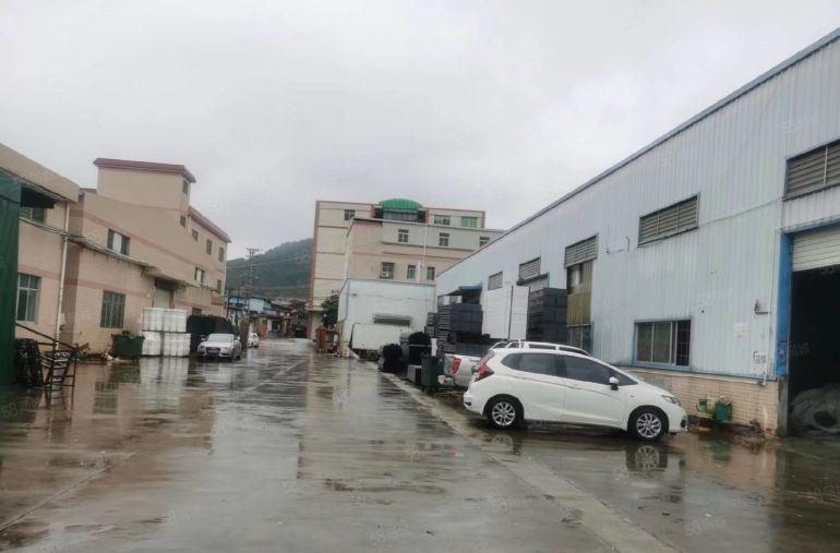 谢岗靠山边单一层钢构小面积低价便宜厂房仓库分租600平小污染