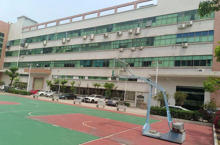 谢岗镇原房东标准厂房一楼1800平方低价出租 现成装修办公室