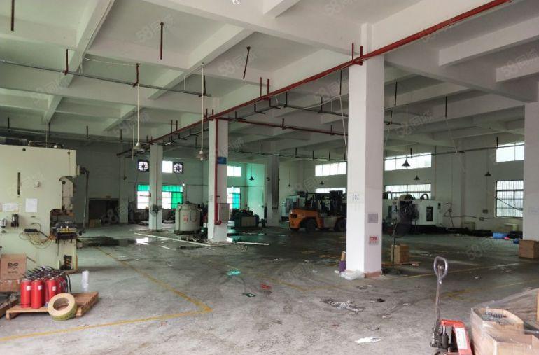 谢岗镇独栋厂房1 4层 5500平方招租，层高6米，空地大