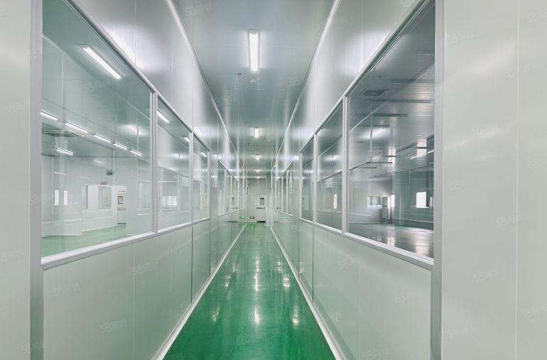 谢岗镇一手原房东新建厂房单层面积2000平方带无尘车间可分租