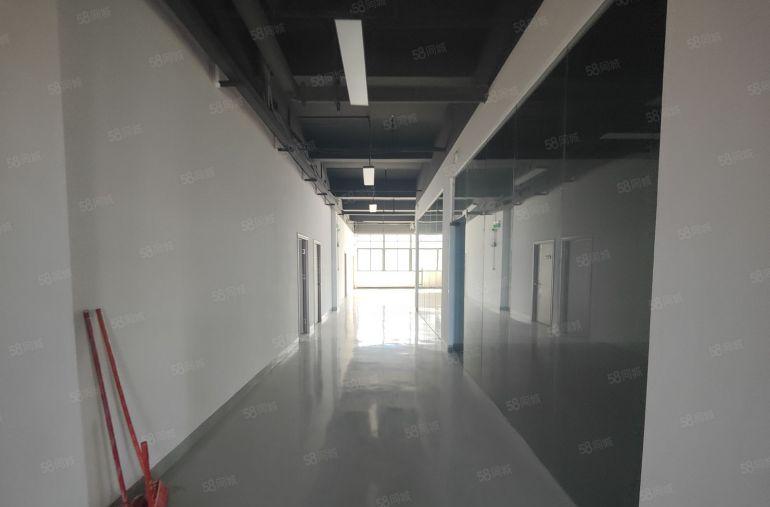 楼上8元可谈谢岗镇原房东全新标准厂房精装修出租客货梯齐全