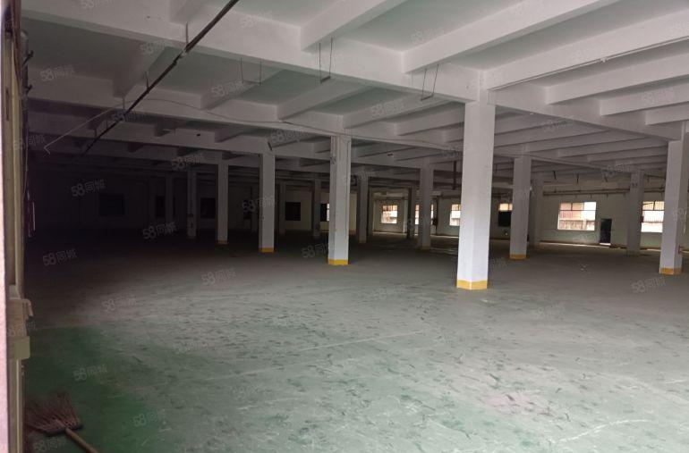 实量，零公摊。谢岗镇独门独院厂房出租，一楼6米，空地大