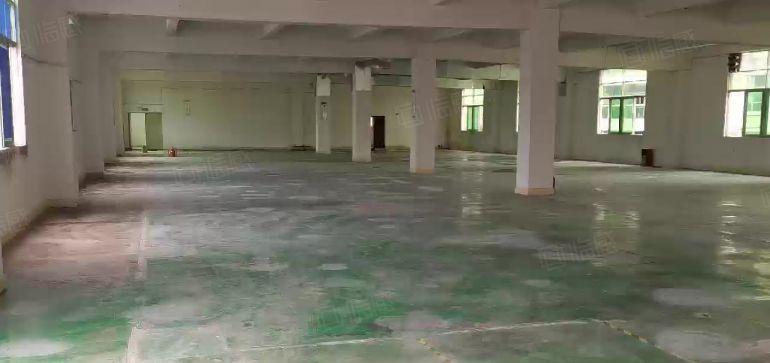 谢岗原房东独院厂房总面积6000平，豪华精装，水电过户，对公