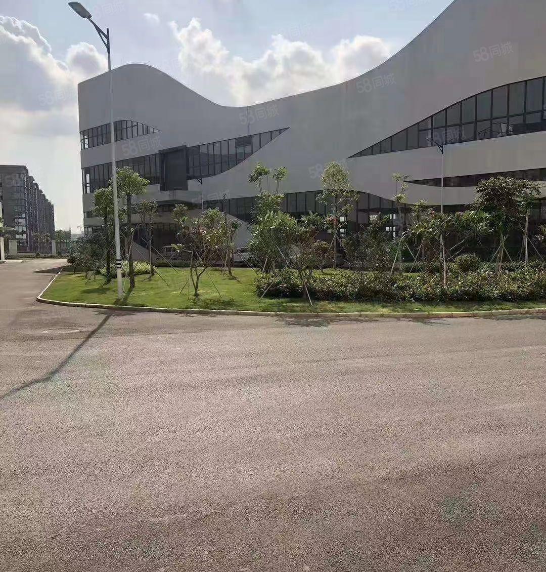 谢岗曹乐乐原房东全新重工业带红本花园式独栋厂房6800平出租