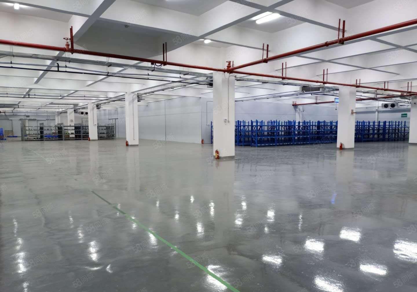 谢岗厂房出租，大小可分，还有仓库出租，原房东低价出租