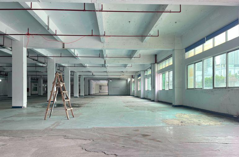 谢岗本地婆厂房出租五金，适合抽沥注塑机械设备压铸冲压磨具仓库